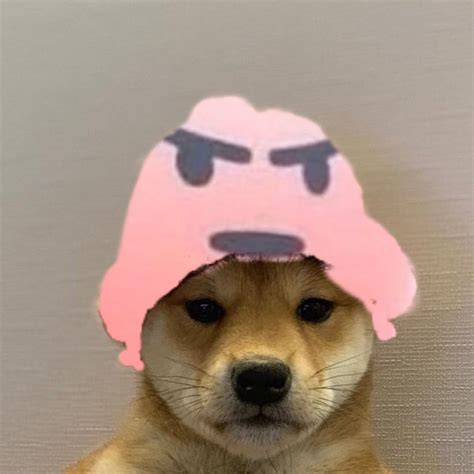 doge hat doge meme dad hat cotton baseball cap beanie polo style doge dogecoin  hat