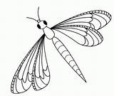 Libelle Dragonfly Ausmalbild Colouring sketch template