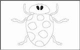 Insects Coloring Tracing Bugs Bug Ladybug Pages Mathworksheets4kids sketch template