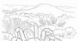 Desierto Biopedia Habitats Ecosistema Terrestre Dibujar Imágenes Biome Importante sketch template