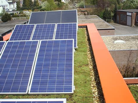 zonnepanelen en groene daken groendak