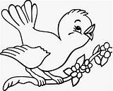 Bird Coloring Small Pages Getdrawings sketch template