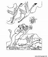 Coloring Lion King Pages Simba Chasing Birds Printable Games County Fair Popular Library Clipart Color sketch template