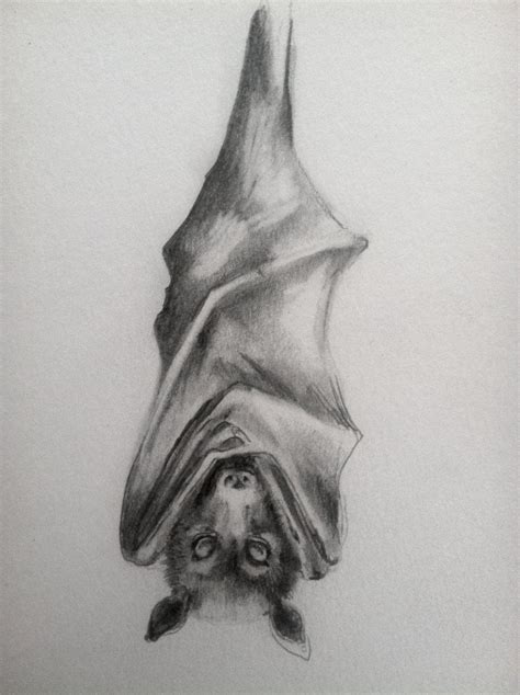 bat drawing    etsy art pinterest bats tattoo