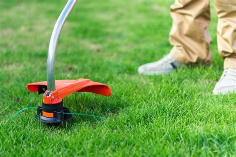 creative ways  cut grass   lawn mower eathappyproject