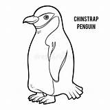 Penguin Chinstrap sketch template