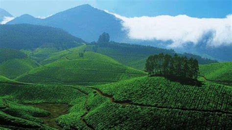 10 best places to visit in kerala during monsoon