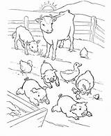 Farm Coloring Animal Pages Printable Animals Choose Board Sheets sketch template