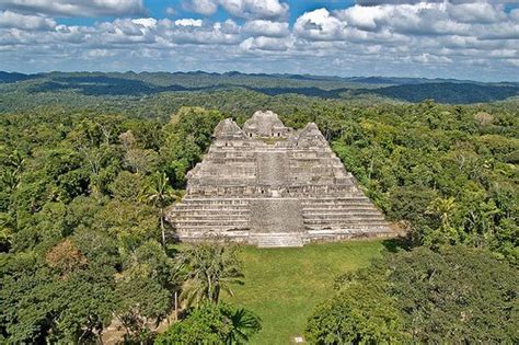 caracol mayan ruins top   cayo upclose belize tours