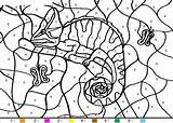 Coloriage Magique Maternelle Moyenne Coloriages Chameleon Magiques Pintar Iguana Hellokids Juego Changeant Coloriage204 Lettres Multiplication Francais sketch template