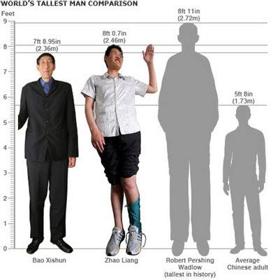 worlds tallest man comparison amazing images