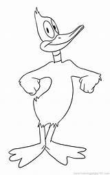 Duck Daffy Coloring Pages Baby Printable Step Yosemite Sam Cartoon Outline Donald Color Clipart Hunting Cartoons Library Clip Ducks Getcolorings sketch template