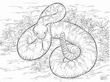 Rattlesnake Diamondback Klapperschlange Snake Rattle Serpent Dangerous Anaconda Coloringtop Designlooter Snakes Coloringbay Crotale Bezoeken Parentune Kategorien Colorier Neocoloring 360px 69kb sketch template