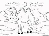 Camel Coloring Pages Animal Simple Printable sketch template