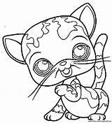 Coloring Pet Pages Shop Lps Littlest Petshop Cat Book Kids Color Horse Printable Simple Coloriage Getdrawings Little Colouring Popular Library sketch template