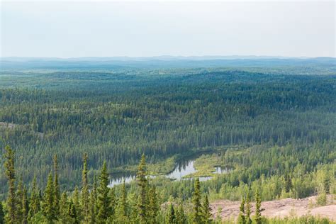 planning  climate change adaptation   canadian boreal forest