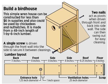 purple finch bird house plans house decor concept ideas