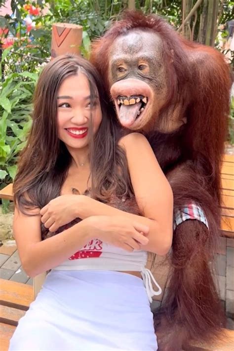 Cheeky Grinning Orangutan Gropes Woman’s Breasts Before Planting A