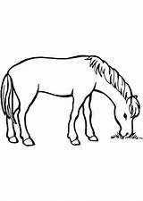 Paard Cheval Coloriage Hugolescargot Animaux Kleuren Enregistrée sketch template