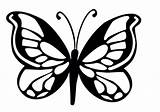 Vlinder Tekening Butterfly Sjabloon Stencil Silhouet Great sketch template