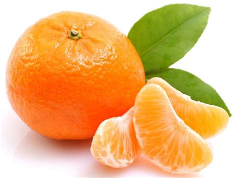 buah biji kulit  daun jeruk