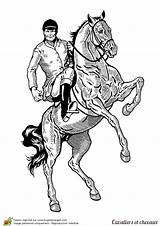 Cheval Cabre Rider Cavalier Rearing Chevaux Wit Zwart sketch template