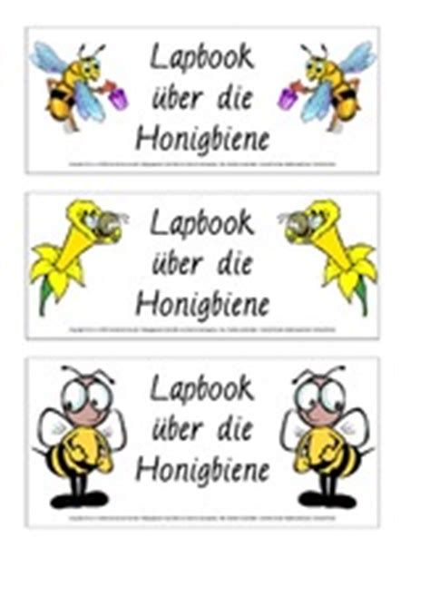 lapbook honigbiene  der grundschule grundschulmaterialde