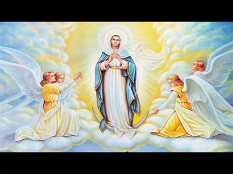 holy rosary luminous mysteries thursday vcatholic