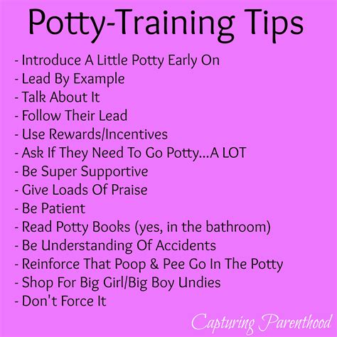 potty training journey capturing parenthood