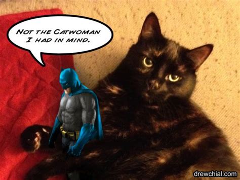 Catwoman Steals Herself A Batman Batman Funny Catwoman Batman