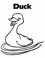 Duck Coloring Pages Kids Printable Cartoon Cliparts Ducklings Way Make Clipart Color Drawings Realistic Clip Getcolorings Daisy Print Library sketch template