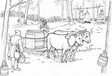 Colorir Fazenda Maple Aratro Oxen Imprimir Sled Pulling Carregando Barril Bue Slitta Tudodesenhos sketch template