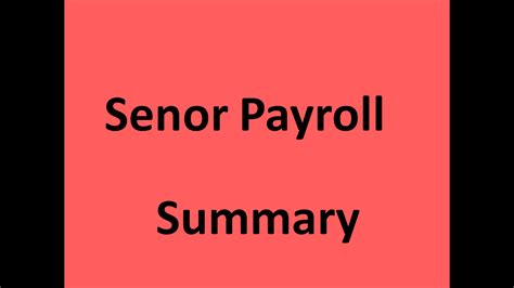 senor payroll summary