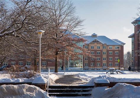 winter scenery  newing college daily photo jan