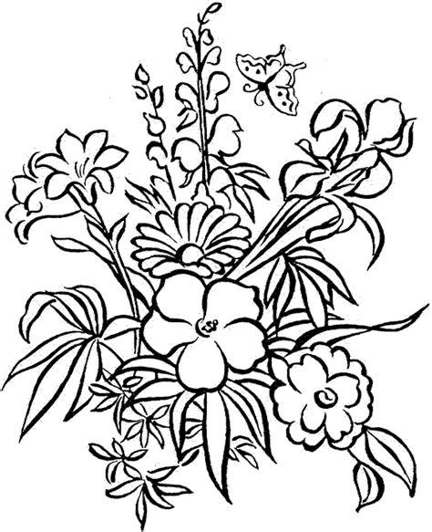 coloring books  flowers learn  color
