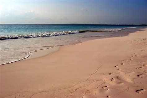 pink sands beach harbour island flickr photo sharing