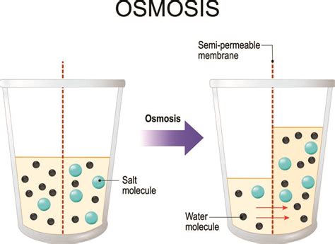 reverse osmosis works quality filters  crystal water