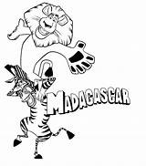 Madagascar Coloring Pages Coloringpages1001 Marty Kids Fun Alex sketch template