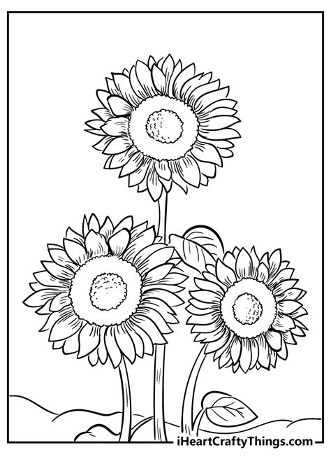 sunflower coloring pages home design ideas