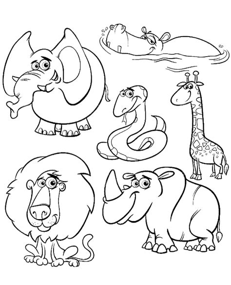 exotic species  animals  coloring page  kids