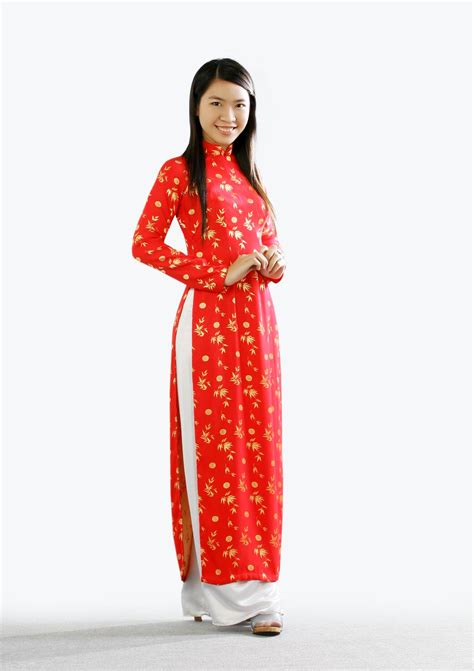 ao dai vietnam by lea1101986 on deviantart