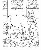 Tegninger Heste Cavalo Caballos Sparet Tjent Cavalos Også Læs Popular sketch template
