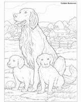 Coloring Golden Retrievers Pages Dog Color Dogs Retriever Puppy Kids Printable Drawings Adults Animal Paint Mammals Animals Doverpublications Voor Dover sketch template