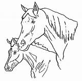 Caballos Caballo Cavalli Malvorlagen Cavalos Pferde Coloriage Chevaux Cavallo Salvajes Colorir Desenhos Cabeza Caras Stampare Cabezas Konji Playmobil Cheval Colorea sketch template