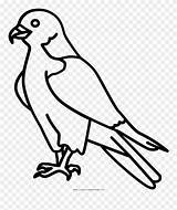 Beak Falcon Coloring Webstockreview Transprent sketch template
