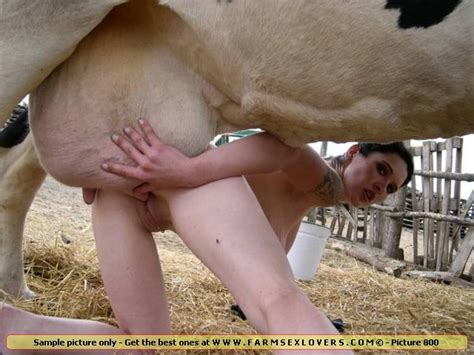 cow pussy porn 185202 sexy slut fucked by cow udder in her