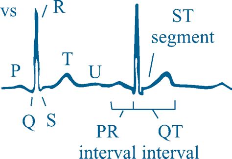 Ioc Research Analysis Of Heart Rate Variability Kalda