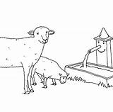 Schafe Bauernhof Ausmalbild Bildnachweise Datenschutz Impressum sketch template