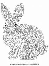 Coloring Rabbit Pages Adult Adults Bunny Printable Stress Anti Colour Easter Mandala Color Shutterstock Getcolorings sketch template