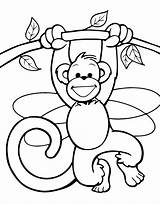 Singe Guenon Noix Printable Cute Animals Colorier Macaco sketch template